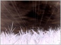 [Click to enlarge]